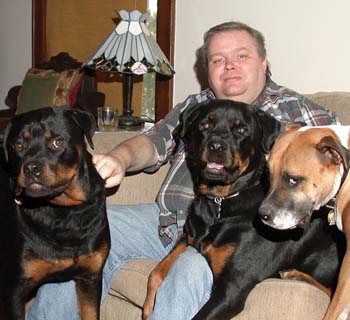 Niall Shanks and his dogs