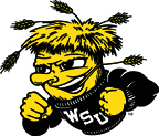 WuShock logo