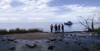 deepwater horizon oil spill 